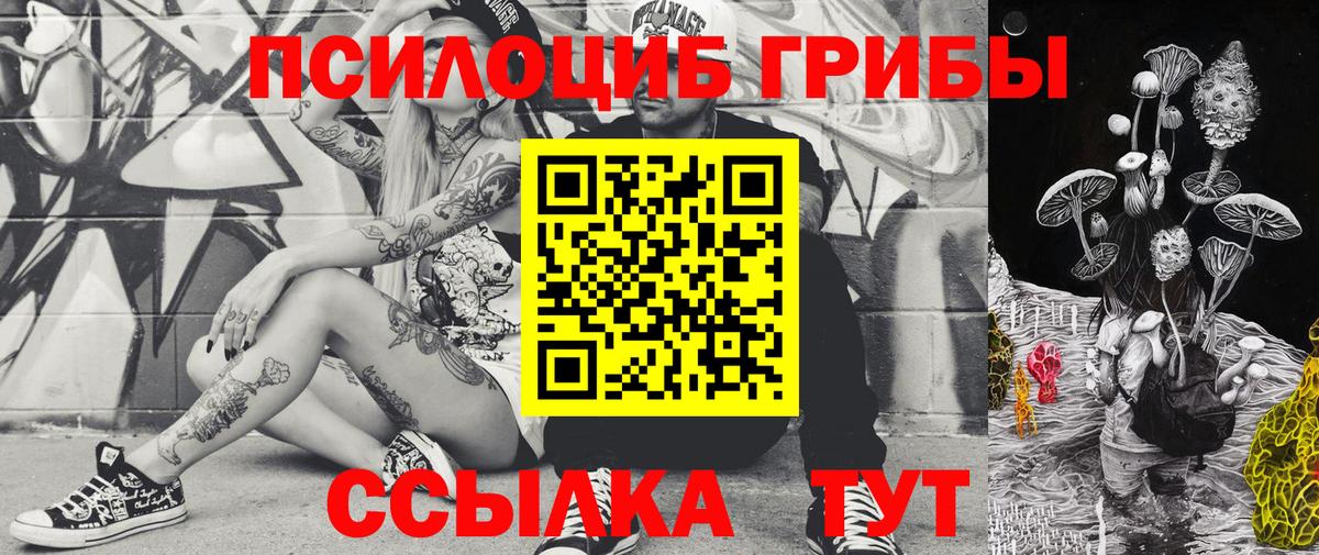 Галлюциногенные грибы MAGIC MUSHROOMS  Вход с VPN  Псилоцибиновые грибы Psilocybe  Чебаркуль 